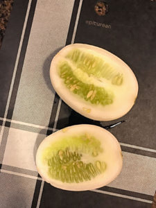 Dragon's Egg Cucumber